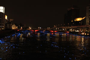 Hotaru Festival